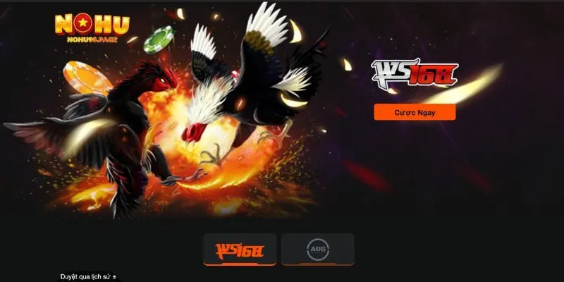 Những lợi ích khi thực hiện tải app Nohu90
